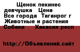 Щенок пекинес девчушка › Цена ­ 2 500 - Все города, Таганрог г. Животные и растения » Собаки   . Хакасия респ.